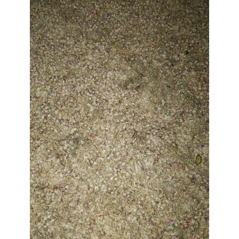 mimosa Dried Silk Mimosa Tree Fragarant Pink Flowers Tea Tincture