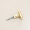 Melody Maison Gold Fossil Drawer Knob