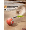 BLOOOK Interactive Cat Toy Self-Employment, Magic Ball Cat Balls, Interactive