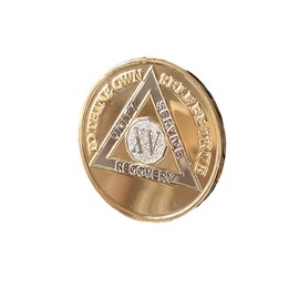 15 Year AA Medallion 22K Bi-Plate Gold Plated Premium Serenity Prayer Sobriety Chip