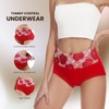Honzadar Womens High Waist Underwear,Tummy Control briefs,Postpartum Panties,Full Coverage(5Pack-L)