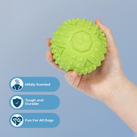 Best Pet Supplies Tough Dog Toys for Aggressive Chewers - Squeaky Dog Toys, Non-Toxic Spiky Ball for Dental Health, Interactive Toy, Green (L:3.5")