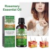 Aceite Esencial De Romero Para El Crecimiento Del Cabello
