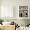 ChooChoo Bathroom Wall Cabinet, Kitchen Storage Cupboard Cabinet with 2