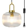 Soutas Clear Glass Hanging Light with Plug in Cord, Mid