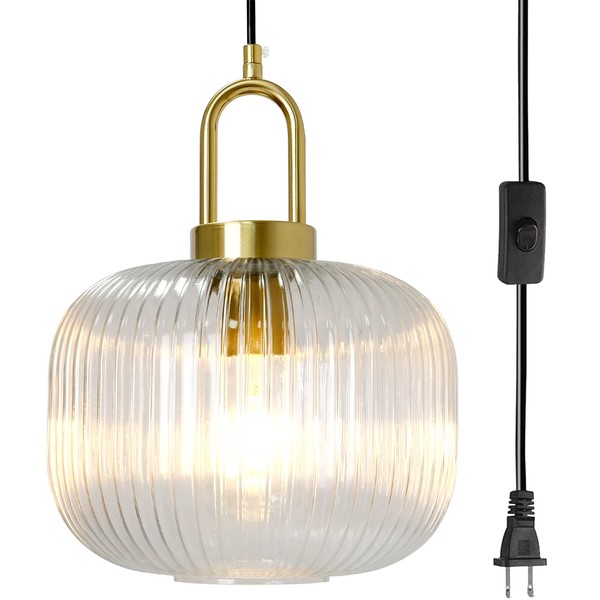 Soutas Clear Glass Hanging Light with Plug in Cord, Mid