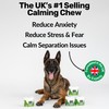 NutriPaw NutriPaw Calming Treats For Dogs - Reduce Stress, Fear,