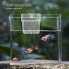 Hanging Aquarium Planter Cup, 1Pc Hanging Aquarium Planter with Hole,