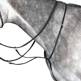 Collegiate Running Martingale Cob Black