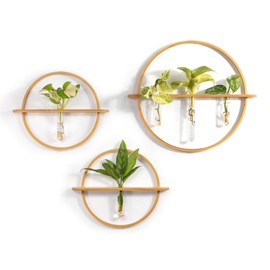 Bohemian Roots Propagation Stations - Set of 3 Bamboo Wall Planters for Indoor Plants | Propagation Wall Hanging with 5 Glass Plant Propagation Tubes | Plant Propagation Station Wall Vase