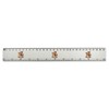 'Cowboy Teddy Bear' 30cm (12 Inch) White Plastic Ruler (RL00087326)