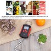 Portable Electronic Hanging Scale Digital LCD Backlit Display kg/lb/JIN 200KG