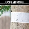 Catchmaster Tree Shield Lantern Fly & Ant Traps Insect Barrier,