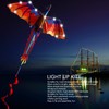 LED Kite Light Up Super Bright Classical Dragon Cartoon Animal