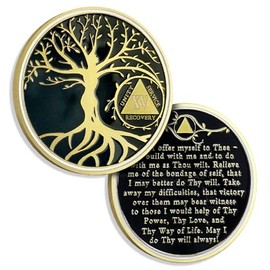 AtSKnSK 15 Years Sobriety Chip Tree of Life AA Coins and Medallion Alcoholics Anonymous Coin Recovery Anniversary Token Sobriety Gifts for Women Men