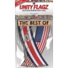 Rear view mirror car flags Costa Rica and USA unity