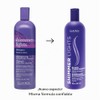Clairol Shimmer Lights Blonde and Silver Shampoo Shampoo Unisex 16