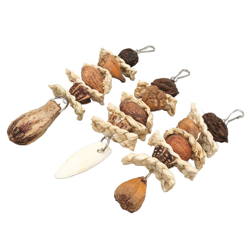 Parakeet Beak Stone Parrots Trimming Chew Toys Set Bird Nuts