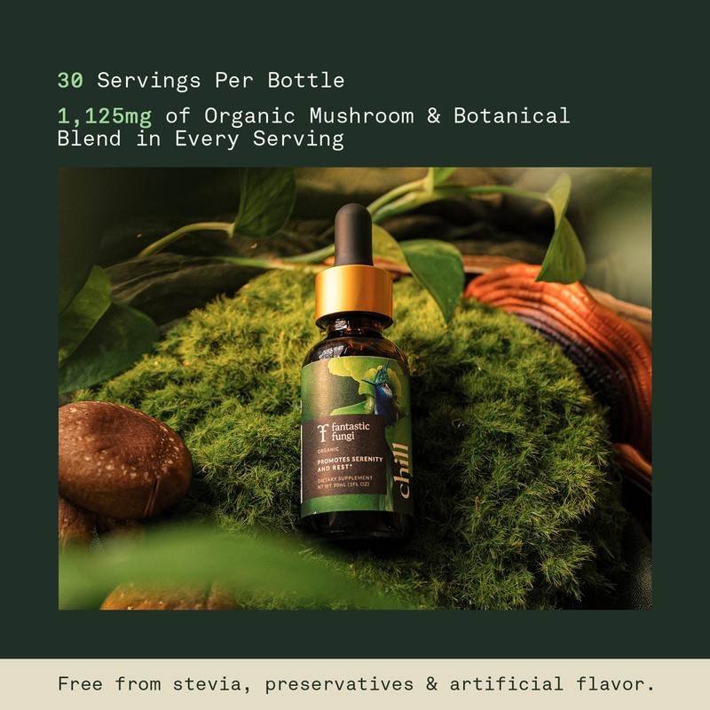 Fantastic Fungi Reishi Mushroom Extract Drops - Chill Elixir Mushroom