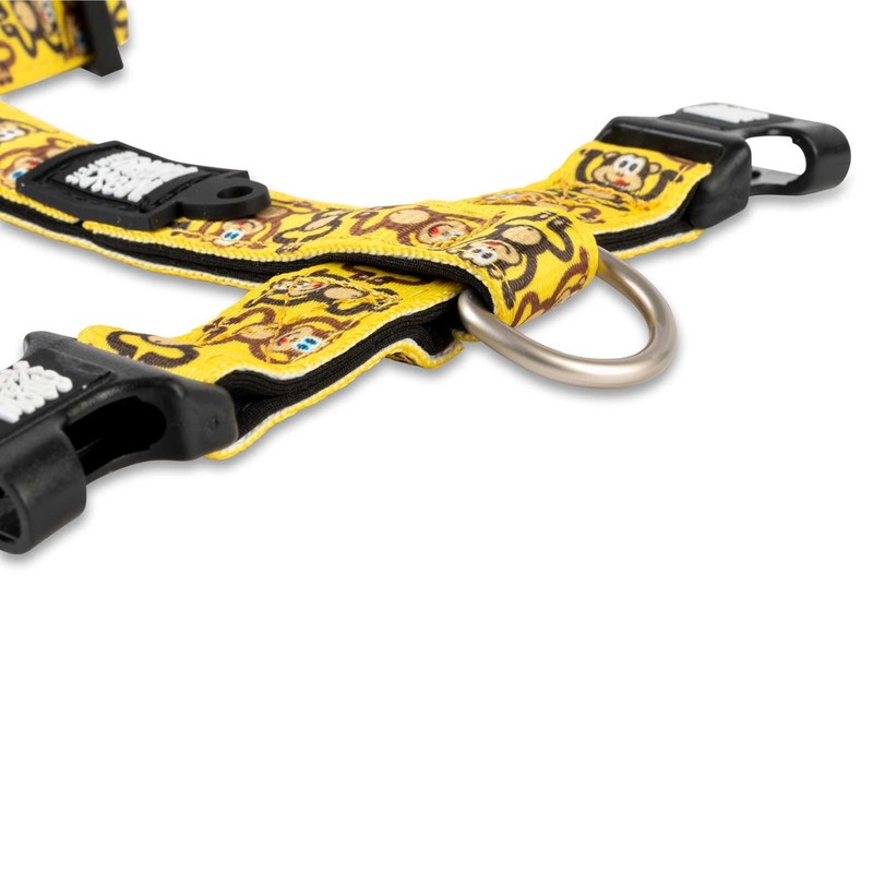 Max & Molly Dog Harness in H-Shape, Ultra Comfortable Neoprene