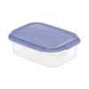 Rotho 0.5 Litre Rectangular Container, Blue Lid, Clear, 0.5 Litre