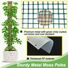 HOLANHING 60"/40"/24" Metal Moss Pole, D Shape Sphagnum Moss Pole,