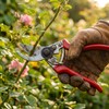Secateurs, LINZI Bypass Pruning Shears 215mm with Extra Blade and