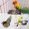 3 Pack Bird Feeding Dish Cups Bird Cup Stainless Steel