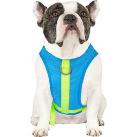 Canada Pooch Dog Cooling Harness - Evaporative Cooling Harness Vest for Dogs with Breathable Mesh Material & Reflective Lining, Adjustable Dog Cooling Vest Great for Dogs