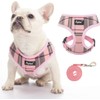 PUPTECK Soft Mesh Dog Harness and Leash Set Pet Puppy