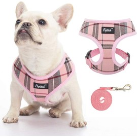 PUPTECK Soft Mesh Dog Harness and Leash Set Pet Puppy Cat Comfort Padded Vest No Pull Harnesses, Old Pink, XXS