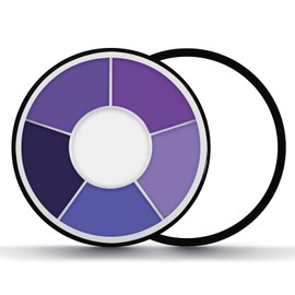 6 Colors Purple Makeup Set