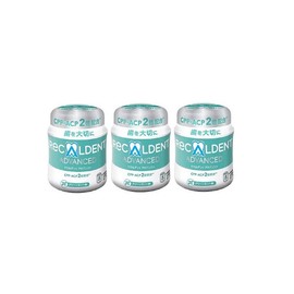 RECALDENT Gum 4.9 oz (140 g) Bottle (Green Mint, 3 pcs)