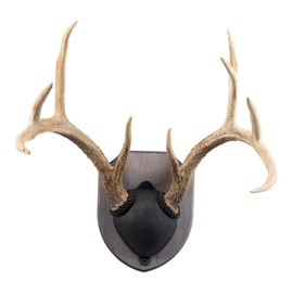 Walnut Hollow Country Antler Display Mounting Kit in Rustic Pine for Mule Deer & Whitetail Deer