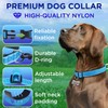 TECEUM Reflective Pet Collar – Sky Blue – XS –