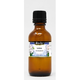 Lantana Pure Essential Oil (3.40 oz, ZIN: 305600)