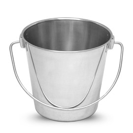AASPIRE PETS Heavy Duty Stainless Steel Dog Bucket 2 Quarts - Durable Food & Water Round Pail with Handle - Buckets for Dogs, Cats, Kennels, Cages, Critter Crates and Multi Purpose Pet