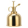 Professional Stainless Steel Watering Can with Top Pump for Succulent