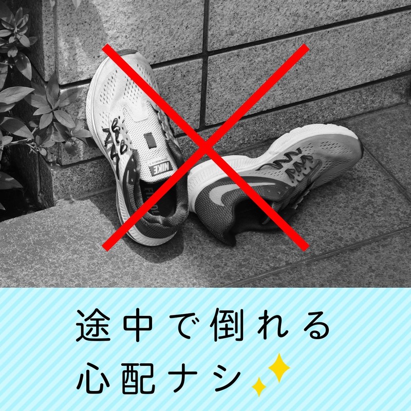 レック インソールも干せる シューズハンガー W-479