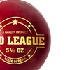 DSC Pro League Cricket Leather Ball | Color: Red |