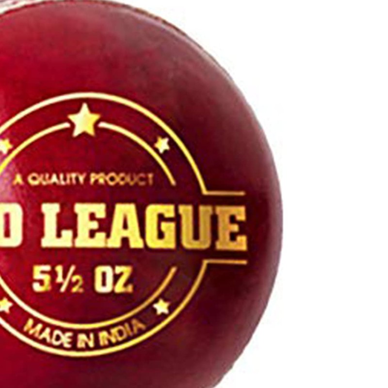 DSC Pro League Cricket Leather Ball | Color: Red |