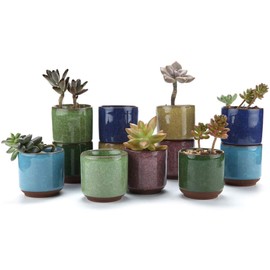 T4U 2.5 Inch Small Ceramic Succulent Planter Pot with Drainage Hole Set of 12, Ice Crack Glaze Porcelain Handicraft Plant Container Gift for Mom Sister Aunt Best for Home Office Desk Decoration