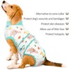Kuoser Dog Bodysuit After Op, Dog Bodysuit After Castration Male
