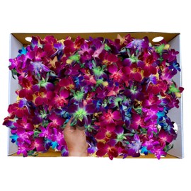 Miami Fresh Orchid Flower OrchidClub USA Sunne Tropical Loose Bloom Head DIY Lei food drink decoration (200 RAINBOW)