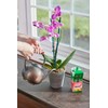 Miracle-Gro Water Soluble Orchid Food, Plant Fertilizer, 8 oz. (12-Pack)