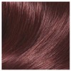 L'Oreal Casting Creme Gloss Semi-Permanent Hair Colour 426 Auburn