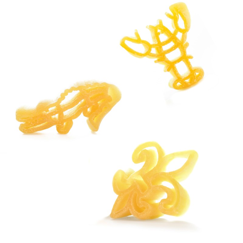 Generic Dagostino Handmade Specialty Cut Pasta, Fleur de Lis, Aligator