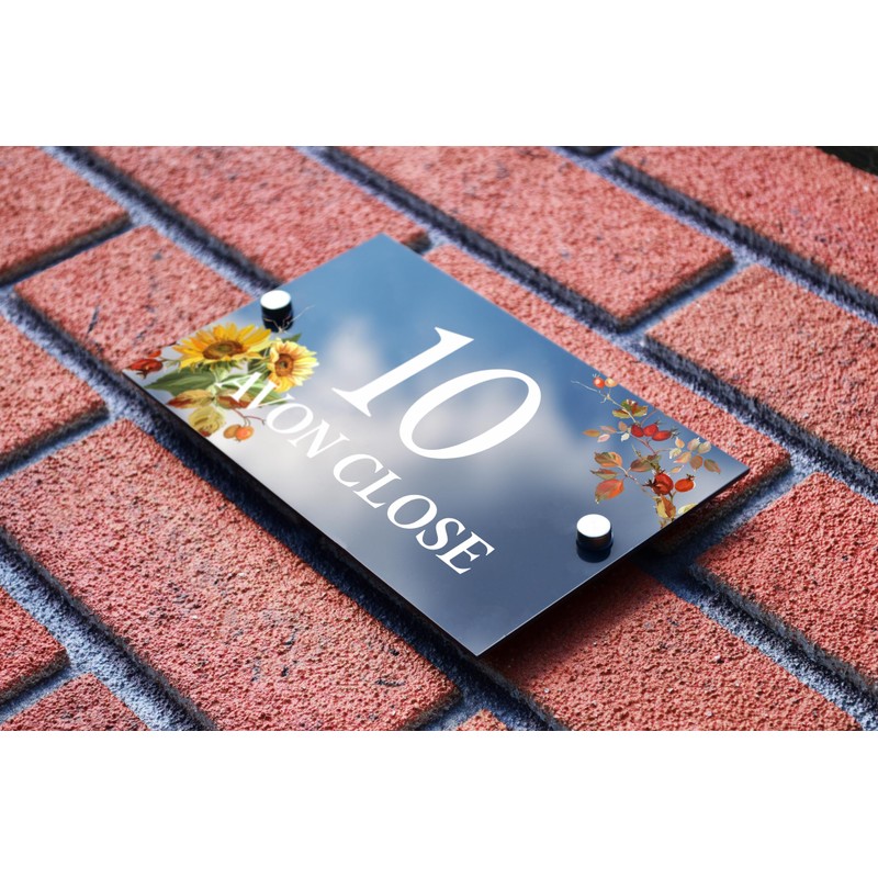 Badgemaster Modern Anthracite House Number Sign Plaque Stainless Steel Standoffs