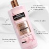 Anne Rothshield Shampoo Keratin Oil Elixir 700Ml