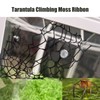 JILINWEI Tarantula Enclosure Accessories,Jumping Spider Praying Mantis Habitat Decor Climbing